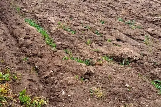 Парцел в Пловдив, с. Скутаре