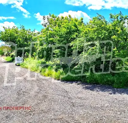 Photo 3 — Plot in Oblast Dobrich, Sokolovo