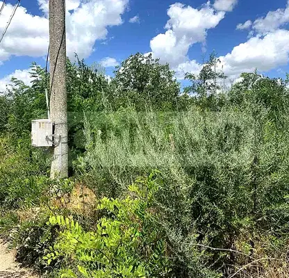 Photo 2 — Plot in Oblast Dobrich, Sokolovo