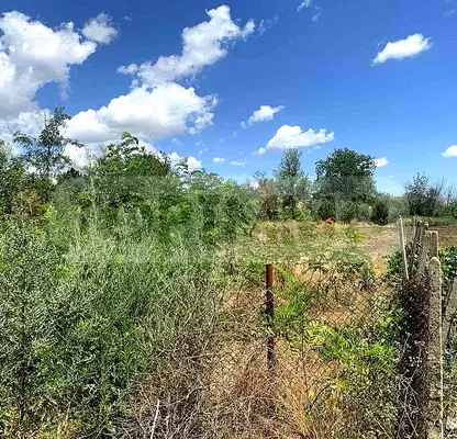 Photo 3 — Plot in Oblast Dobrich, Sokolovo
