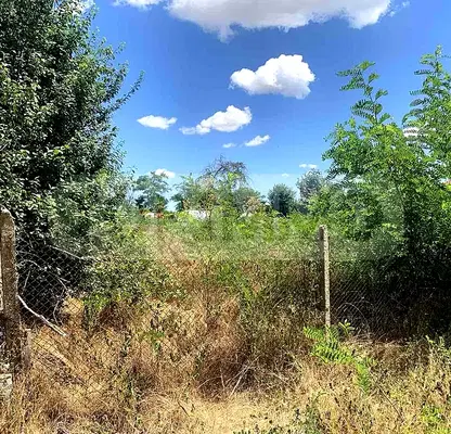 Photo 4 — Plot in Oblast Dobrich, Sokolovo