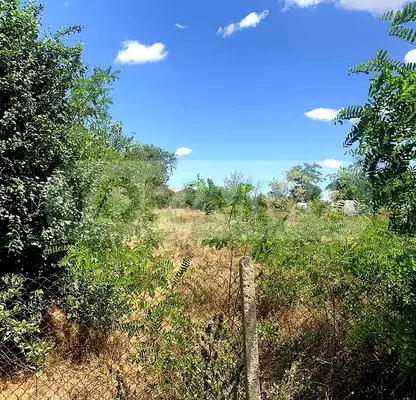 Photo 5 — Plot in Oblast Dobrich, Sokolovo