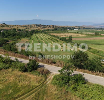 Photo 2 — Plot in Oblast Blagoevgrad, с. Спатово