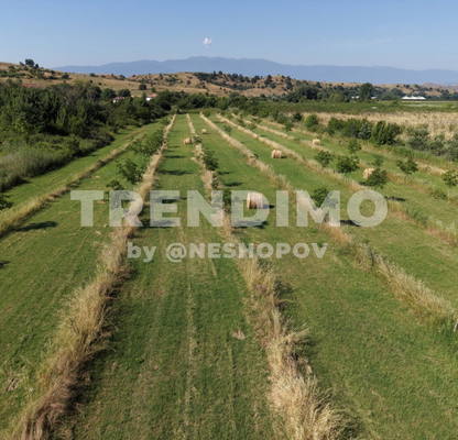 Photo 5 — Plot in Oblast Blagoevgrad, с. Спатово