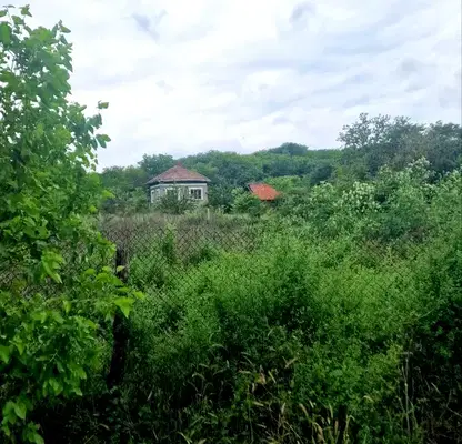 Снимка 3 — Парцел в Силистра, с. Старо село