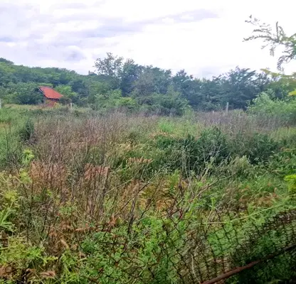 Снимка 4 — Парцел в Силистра, с. Старо село