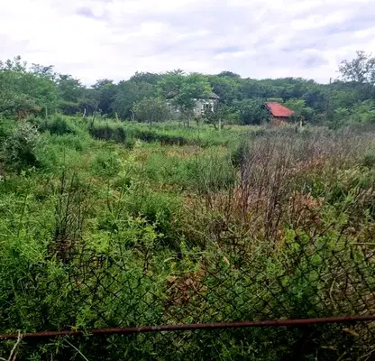 Снимка 5 — Парцел в Силистра, с. Старо село