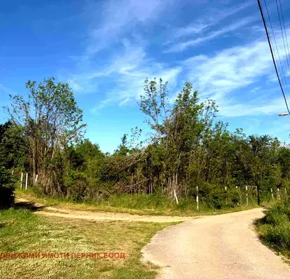 Photo 2 — Plot in Oblast Pernik, с. Стрезимировци