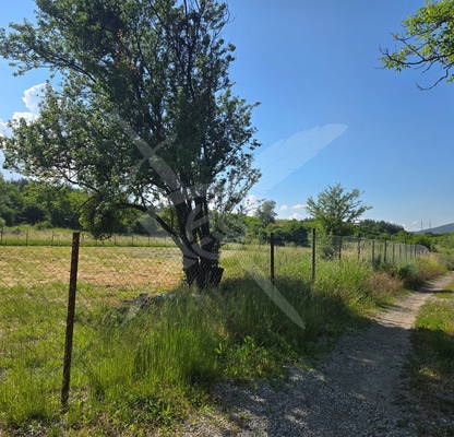 Photo 3 — Plot in Oblast Pernik, Studena