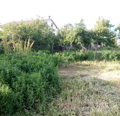 Снимка 4 — Парцел в с. Световрачене
