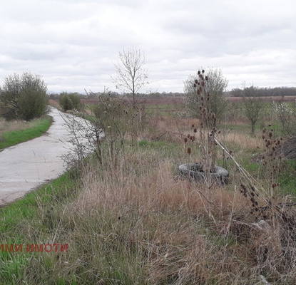Снимка 4 — Парцел в с. Световрачене