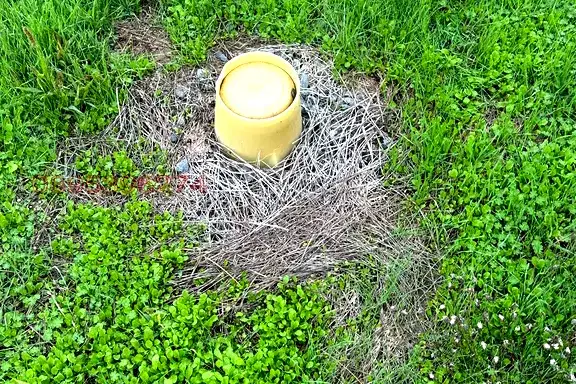 Plot in Oblast Stara Zagora, Syrnevo