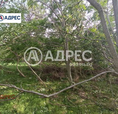 Photo 4 — Plot in Oblast Dobrich, Syrnino