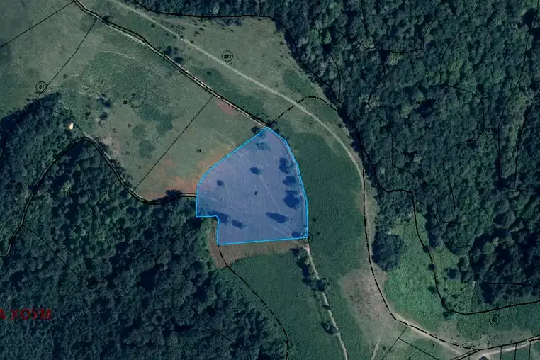 Plot in Oblast Lovech, Terziisko