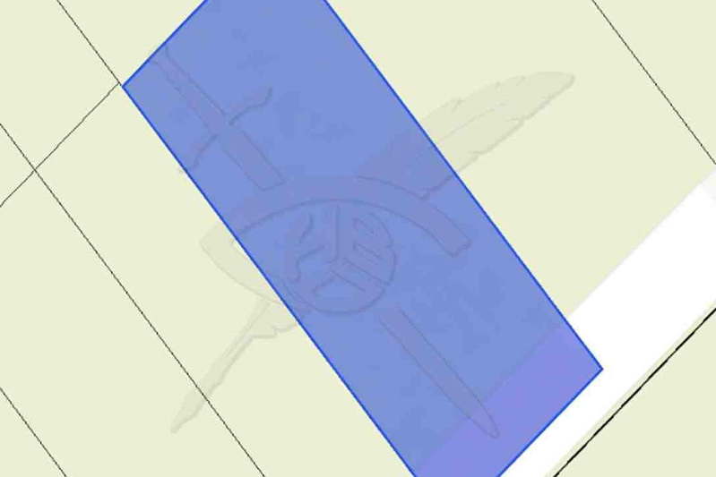 Plot in Oblast Burgas, Tynkovo