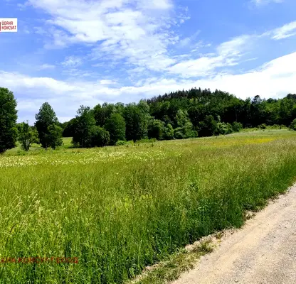 Photo 3 — Plot in Oblast Lovech, Velchevo