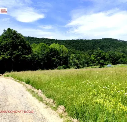 Photo 4 — Plot in Oblast Lovech, Velchevo