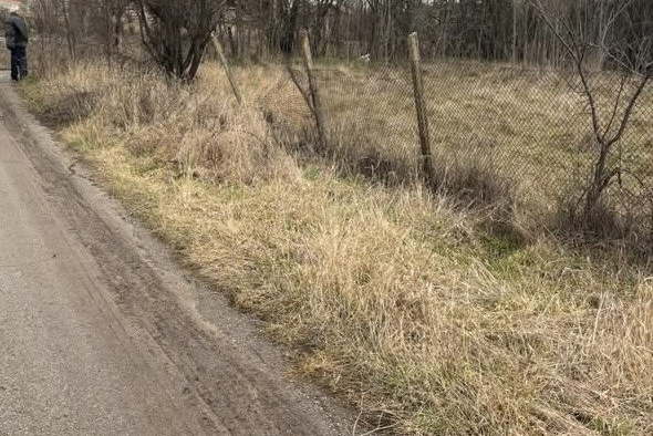 Plot in Oblast Pernik, Velkovci