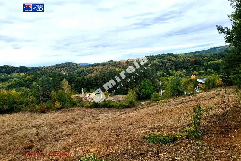 Plot in Vladaya
