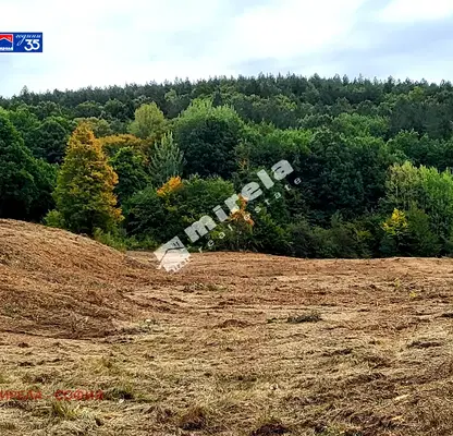 Photo 3 — Plot in Vladaya