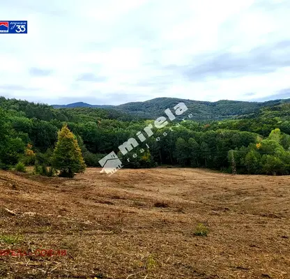 Photo 5 — Plot in Vladaya