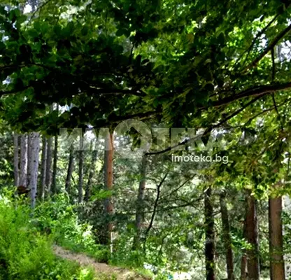 Photo 3 — Plot in Vladaya