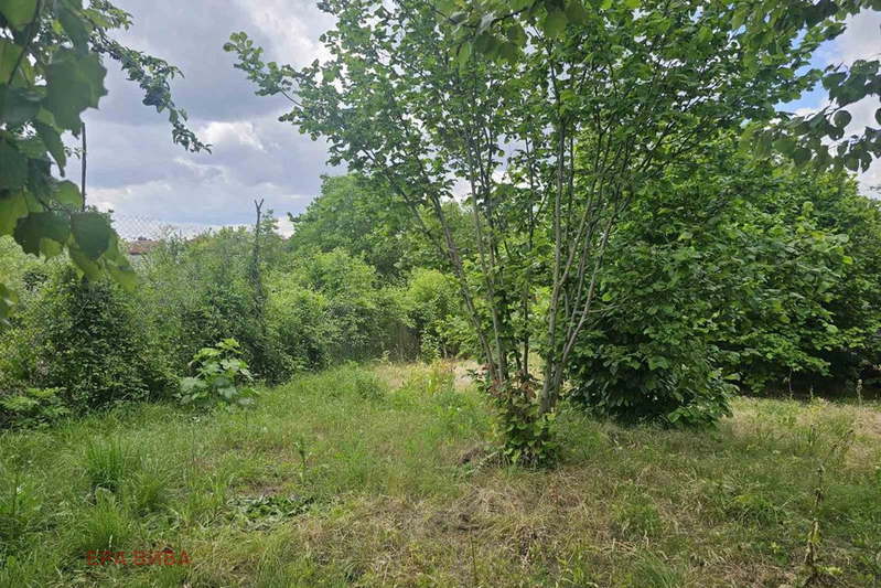 Plot in Oblast Varna, Yarebichna