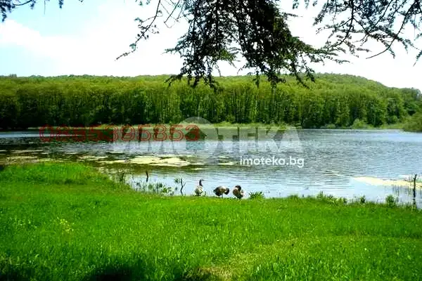 Plot in Oblast Varna, Zdravec