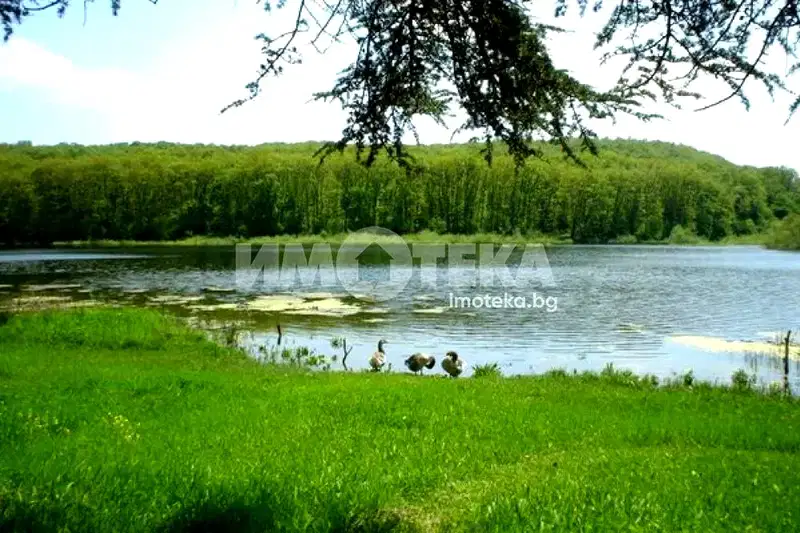 Plot in Oblast Varna, Zdravec