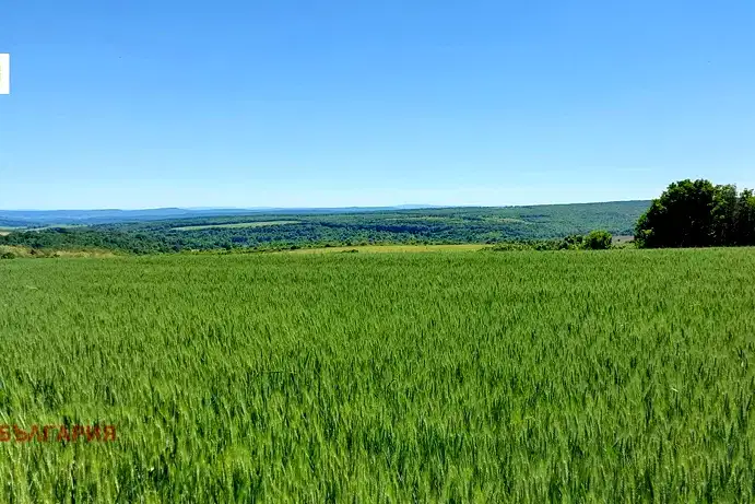 Парцел във Варна, с. Здравец