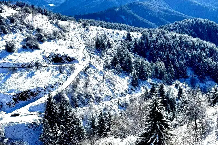 Парцел в Смолян, с. Зорница