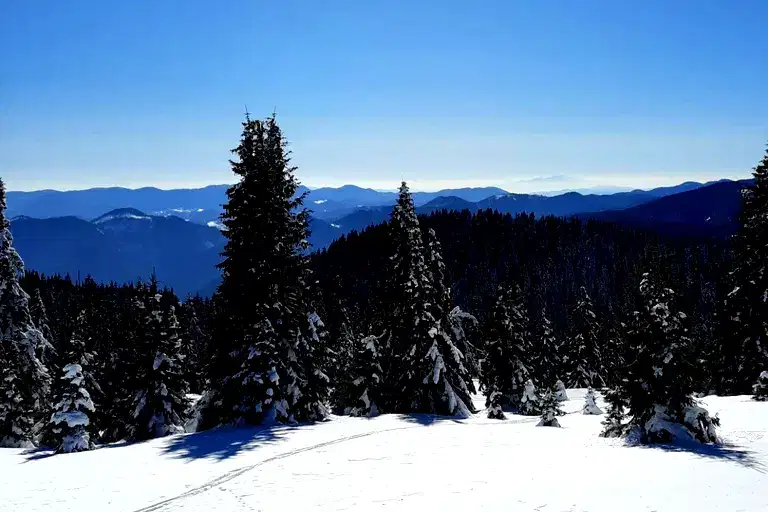 Парцел в Смолян, с. Зорница