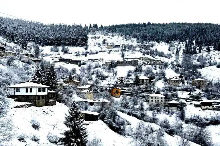 Парцел в Смолян, с. Зорница