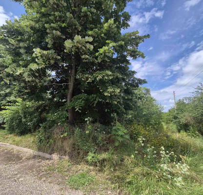 Photo 2 — Plot in Oblast Varna, Zornica