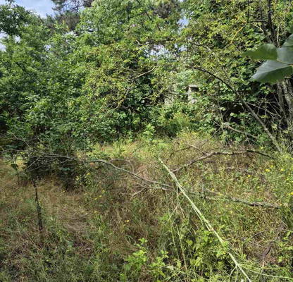 Photo 3 — Plot in Oblast Varna, Zornica