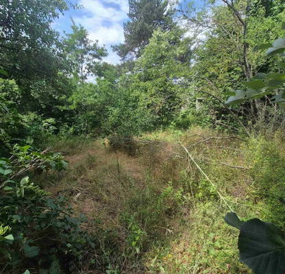 Photo 4 — Plot in Oblast Varna, Zornica