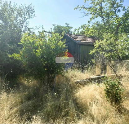Photo 2 — Plot in Zvezdica