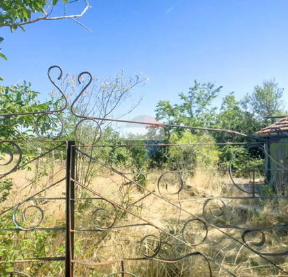 Photo 5 — Plot in Zvezdica