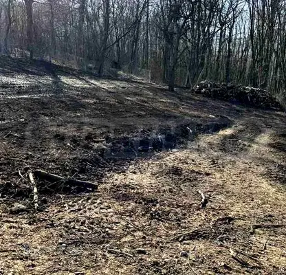 Снимка 5 — Парцел в Габрово, Севлиево