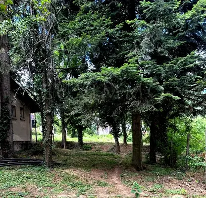 Photo 2 — Plot in Sofiya, Dragalevci