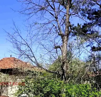 Photo 3 — Plot in Sofiya, Simeonovo