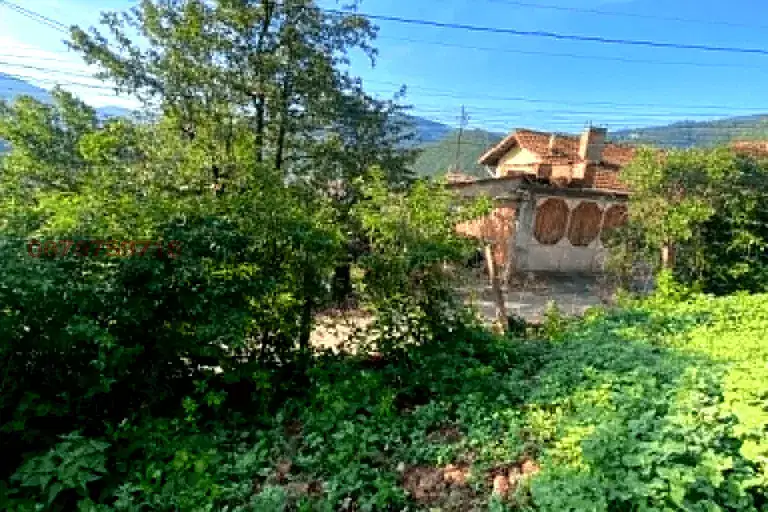Plot in Sofia, Svoge