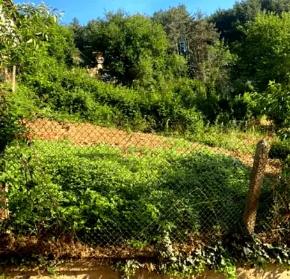Photo 5 — Plot in Sofia, Svoge