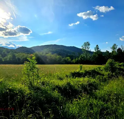 Photo 3 — Plot in Oblast Lovech, Troyan