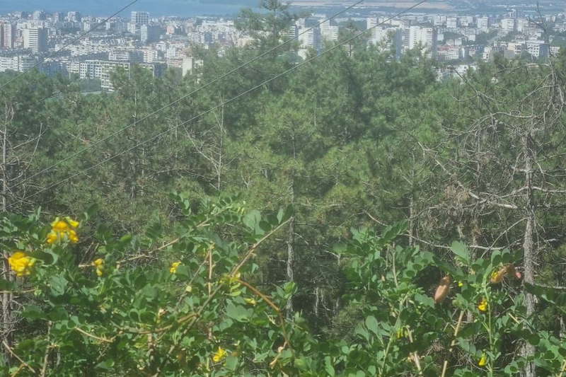 Парцел във Варна, м-т Акчелар