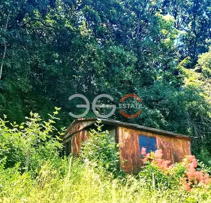 Photo 2 — Plot in Varna, Alen Mak