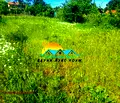 Снимка 2 — Парцел във Варна, м-т Боровец - юг