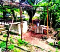 Снимка 4 — Парцел във Варна, м-т Боровец - юг