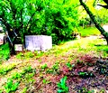 Снимка 5 — Парцел във Варна, м-т Боровец - юг