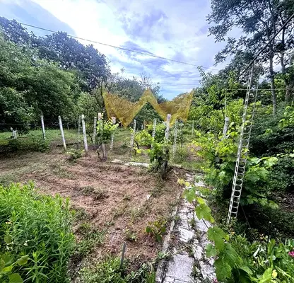 Photo 2 — Plot in Varna, Borovec - Yug
